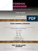 Chinese%20Assignment%201