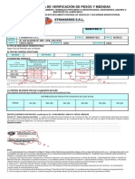 Modelo de Llenado de Pesos y Medidas PDF