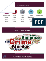 Crime in Pakistan: Causes, Effects and Prevention Methods