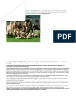 Trabajo Práctico Integrador Cs. Naturales PDF