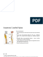 Pemeriksaan Pada Regio Lumbal Spine