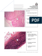 Lembar Tugas Kardiovaskular Blok 1J 2020 PDF