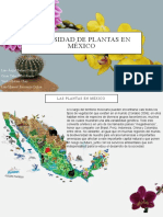 Diversidad de plantas en México