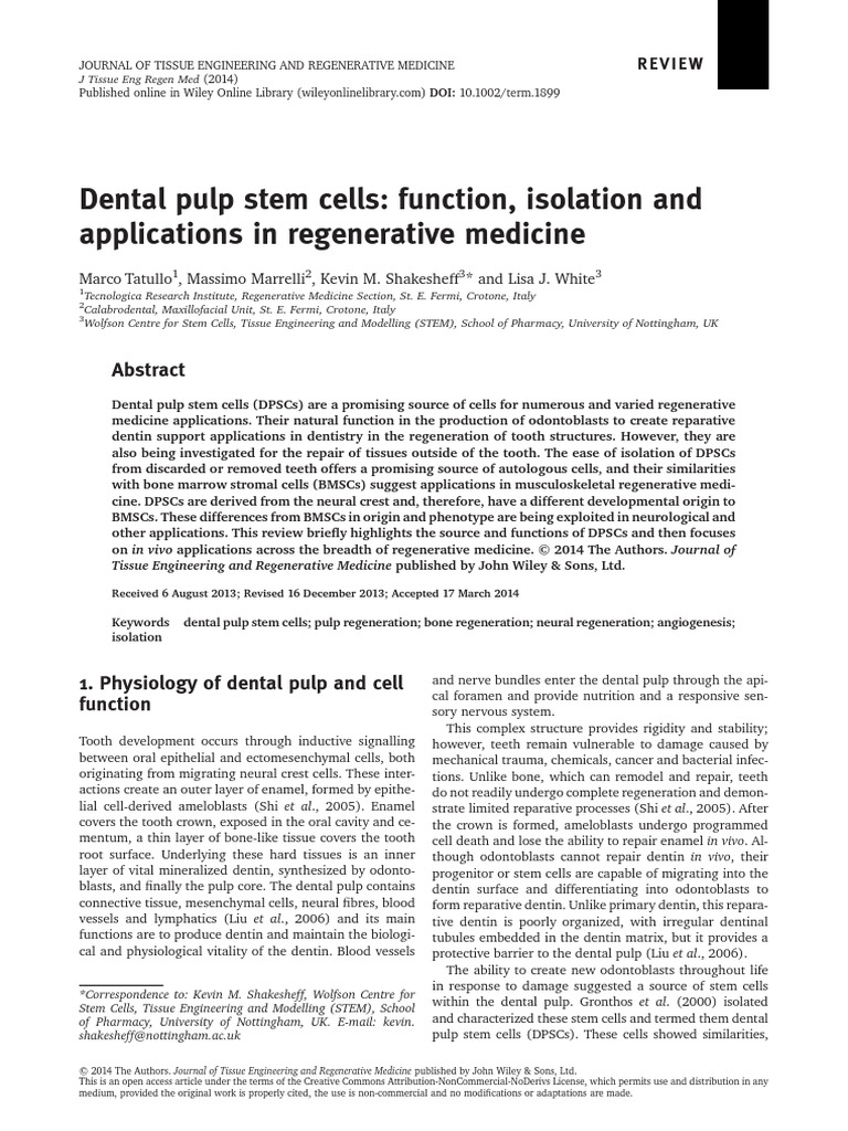 Dental Pulp Stem Cells - Function, Isolation and Applications in ...