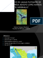 24 - Antonio Campos Mendoza PDF