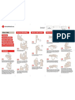 Emergency First Aid - Free Printable Pocket Sized Guide