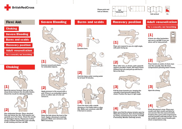Emergency First Aid - Free Printable Pocket Sized Guide | PDF | Cardiopulmonary Resuscitation | First Aid for Pdf Free Printable First Aid Guide
