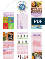 Triptico DM PDF