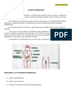 Sistema Endocrino 2020