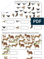 PERCEPCIÓN-ATENCIÓN-CONTEO.pdf