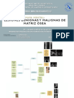 Lesiones Benignas y Malignas de Matriz Osea