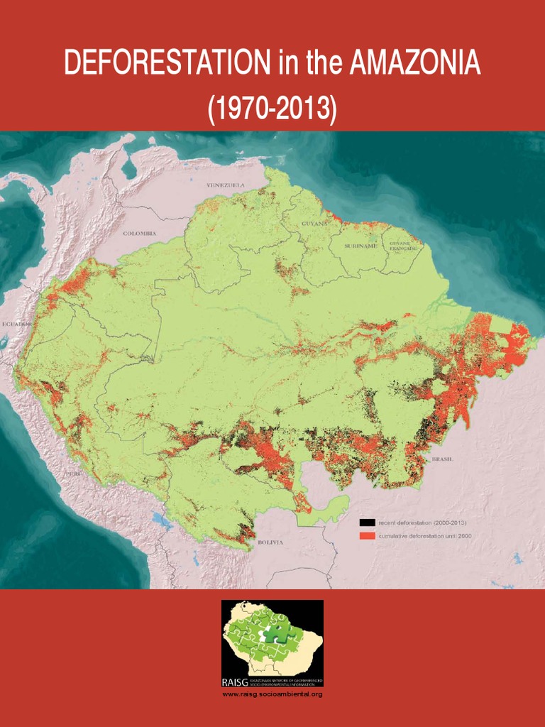 Deforestation in The Amazonia1970-2013 PDF | PDF | Amazon Rainforest ...