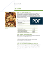 Copper DatosEnEspanol PDF