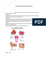 Alat Indera Manusia Print