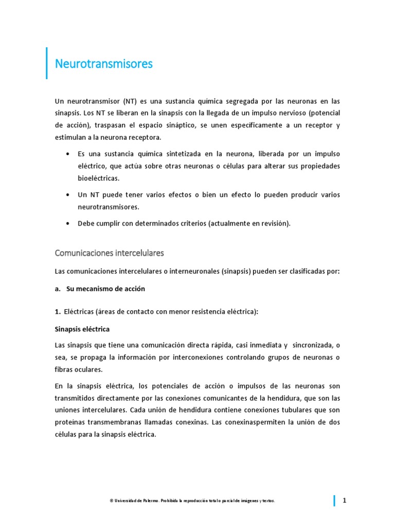 Neurotransmisores | PDF | Sinapsis | Neurotransmisor