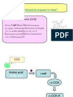 CCK Hormone