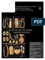 I01 - Antología de Fichas Parasitológicas - (