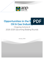 Opportunities in The Brazilian Oil & Gas Industry: Ongoing Actions & 2018-2019 Upcoming Bidding Rounds