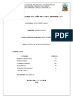 Informe N - 9 PDF