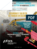 Estándares Mínimos PDF