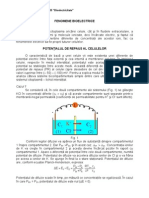 Curs 5 Bioelectricitate