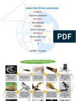 Evolución Del Microscopio