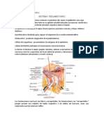 Sis Respiratorio, Tegumentario y Cavidad Bucal