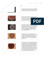 Clinical Pathology (Micro)