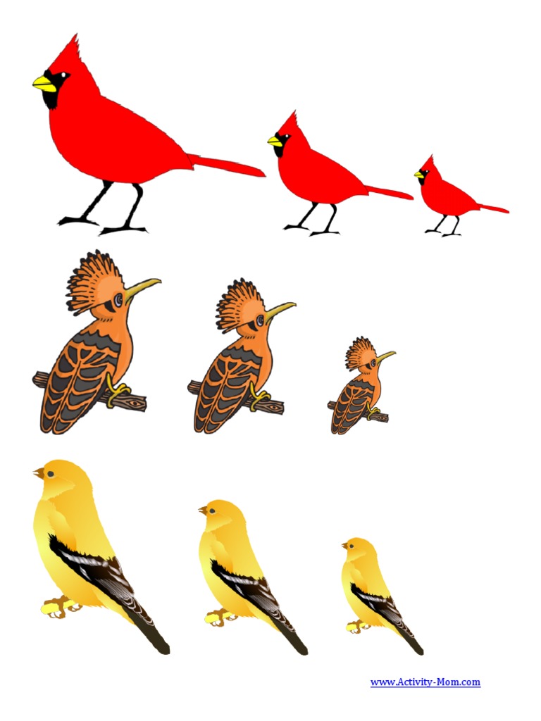 Images From | PDF