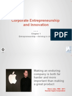 Corporate Entrepreneurship and Innovation: Entrepreneurship - Thriving in Chaos