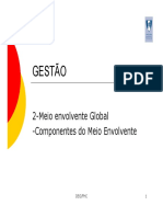 IGO - Envolventes Organizacionais PDF