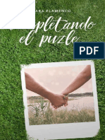 Completando El Puzle - Sara Flamenco PDF