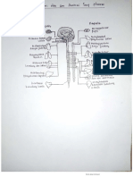 tugas Anatomi otak, Neuron dan Otonom kmb 3