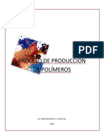 Proceso de Producción de Polímeros