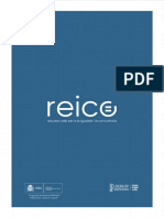 416060451-reico-pdf.pdf