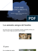 Diapositivas Animales