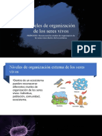 Diapositivas Sobre Niveles de Organización de Los Seres Vivos