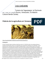 Historia de La Agricultura en Venezuela - YAGUARAPARO ES CHÉVERE