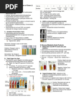 Biochemical Identification of Gram (-) Bacteria: I. Carbohydrate Utilization