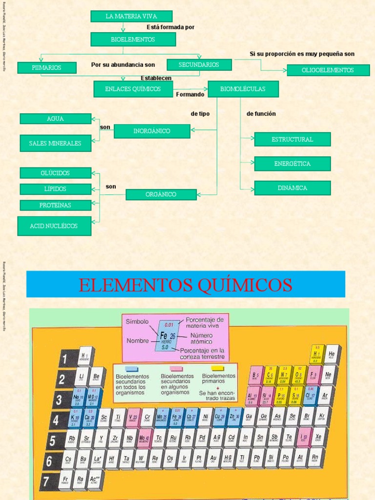 Bioelementos y biomoléculas esenciales | PDF | Carbohidratos | Lípido