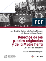 Derechos_de_los_pueblos_originarios.pdf
