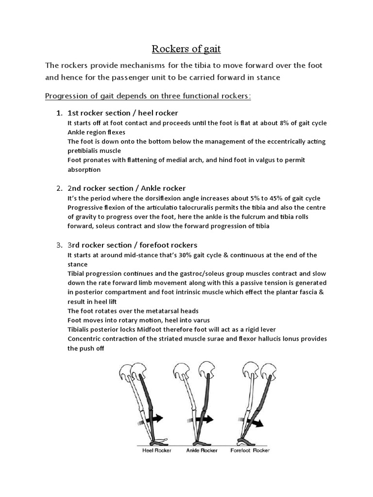 Understanding Gait Rockers Mechanics | PDF | Self-Improvement | Wellness