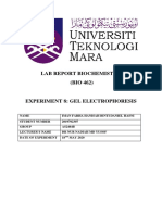 Lab Report Biochemistry (BIO 462)