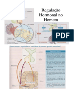 6-reg_hormonal_masculina.pdf