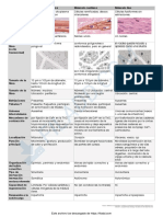 Cuadro Comparativo - Tejido Muscular