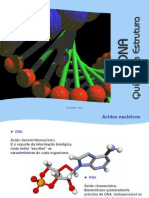 DNA quimica e estrutura PPoint.ppt