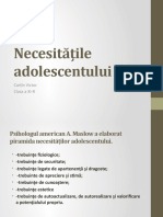 Necesitățile Adolescentului