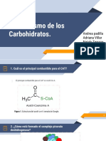 Metabolismo de carbohidratos