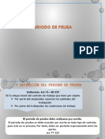 PERIODO DE PRUEBA.pdf