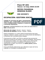 Pase de tránsito para gestora social en Superintendencia Nacional de Servicios de Saneamiento en Huaraz